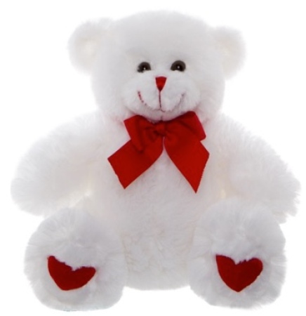 Valentines Teddy 20cm